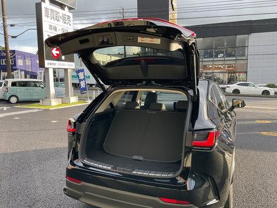 صورة مصغرة 38 لـ 2022 Lexus NX