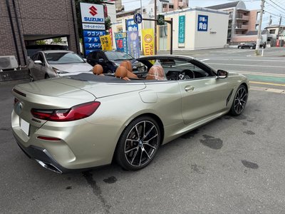 2021 BMW 8 SERIES CABRIOLET photo 11
