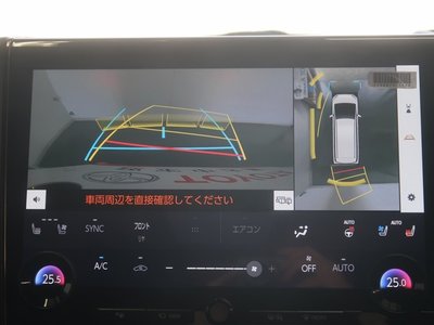 2024 Toyota ALPHARD 照片 12