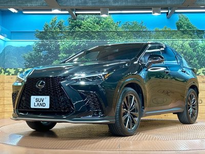 صورة 24 لـ 2023 Lexus NX