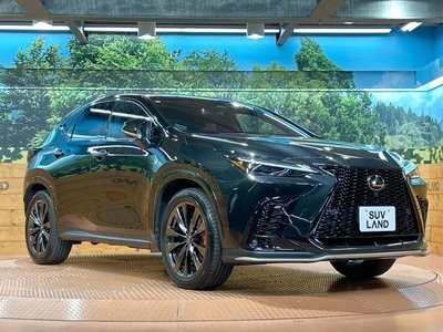 صورة 16 لـ 2023 Lexus NX