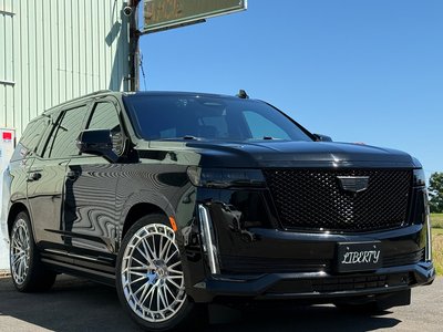 2021 Cadillac ESCALADE 照片 20
