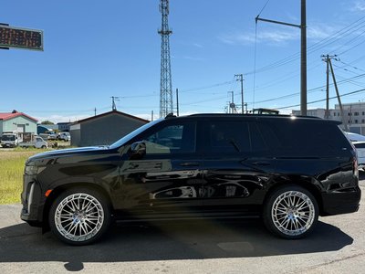 2021 Cadillac ESCALADE 照片 8