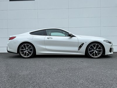 2019 BMW 8 SERIES thumbnail 50