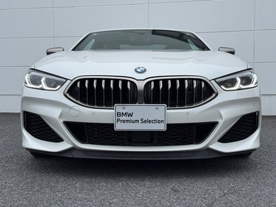 2019 BMW 8 SERIES thumbnail 48