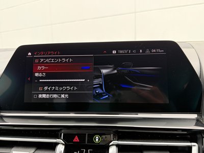 2019 BMW 8 SERIES thumbnail 31