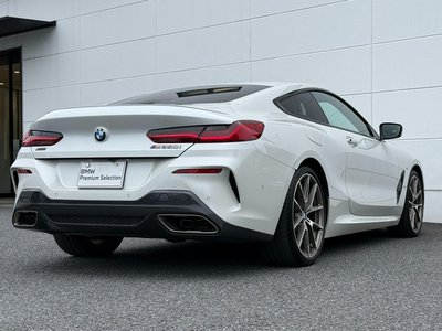 2019 BMW 8 SERIES thumbnail 51