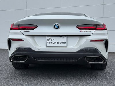 2019 BMW 8 SERIES thumbnail 52