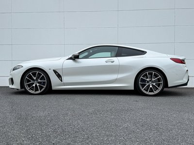 2019 BMW 8 SERIES thumbnail 54