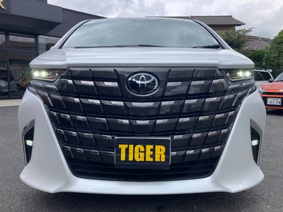 2025 Toyota ALPHARD — фото 13