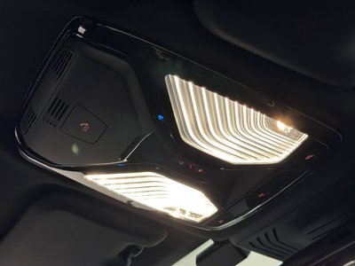 2025 BMW IX3 thumbnail 24