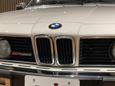1986 BMW Alpina B7 照片 18