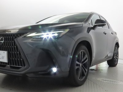 2022 Lexus NX — фото 6