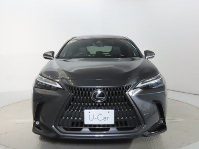 2022 Lexus NX — фото 4