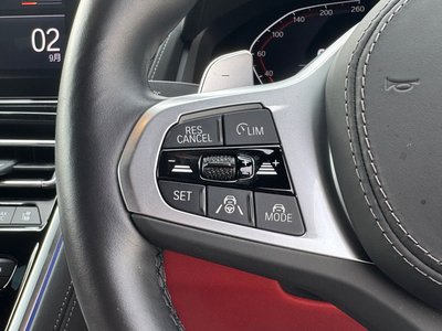 2023 BMW 8 SERIES GRAN COUPE thumbnail 19