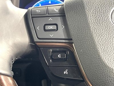 صورة مصغرة 62 لـ 2024 Toyota ALPHARD