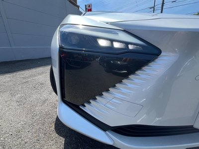 2023 Lexus RZ — миниатюра 61