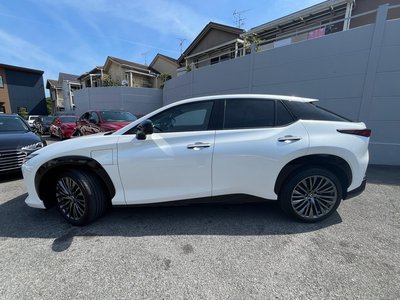 2023 Lexus RZ — миниатюра 52