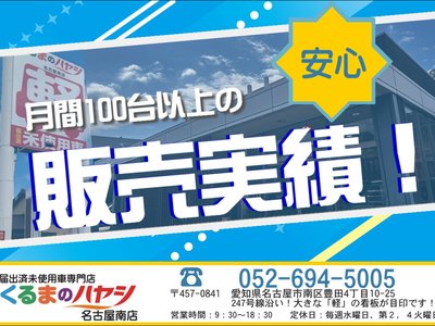 2026 Toyota LAND CRUISER 250 photo 4