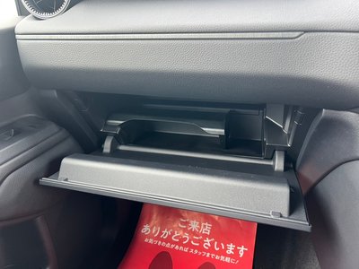 2026 Toyota LAND CRUISER 250 thumbnail 34