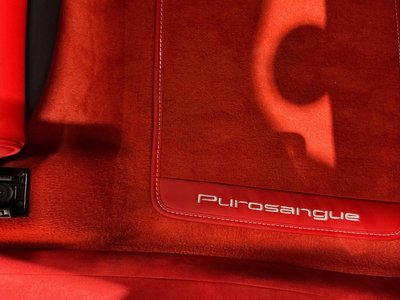 2024 Ferrari PUROSANGUE — миниатюра 21