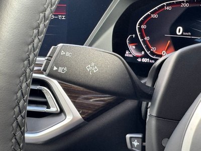 2021 BMW X5 thumbnail 25