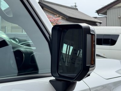 2025 Toyota LAND CRUISER 250 照片 31