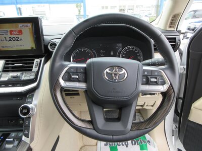 2023 Toyota LAND CRUISER 300 — фото 111