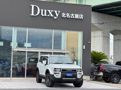 2025 Toyota LAND CRUISER 250 照片 13