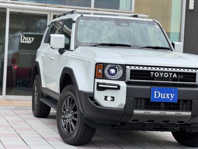2025 Toyota LAND CRUISER 250 照片 29