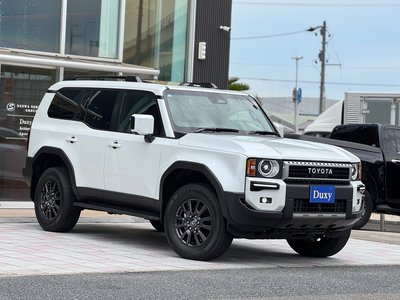 2025 Toyota LAND CRUISER 250 照片 16