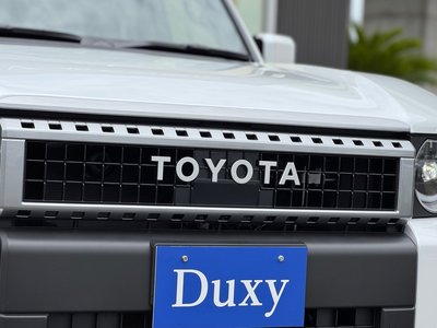 2025 Toyota LAND CRUISER 250 照片 19