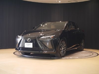 2023 Lexus RZ — фото 1