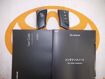 2023 Lexus RZ — миниатюра 18