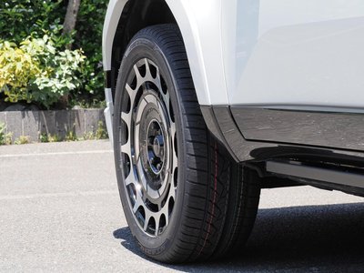 2025 Lexus GX 照片 25
