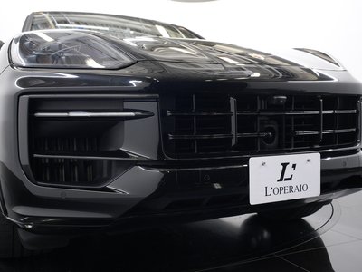 2025 Porsche CAYENNE thumbnail 19
