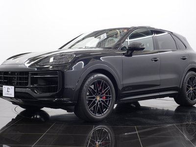 2025 Porsche CAYENNE thumbnail 20