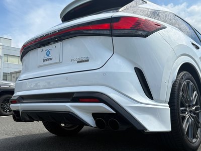 2023 Lexus RX 缩略图 21