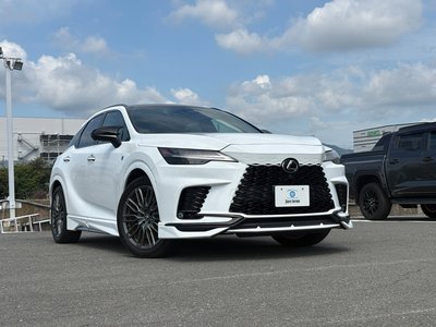 2023 Lexus RX 缩略图 10