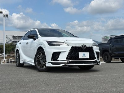 2023 Lexus RX 缩略图 11