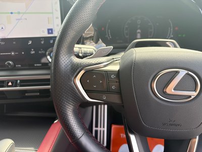 2023 Lexus RX 缩略图 25