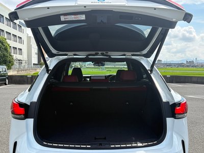 2023 Lexus RX 缩略图 45