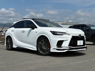 2023 Lexus RX 缩略图 13