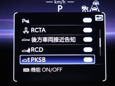 2025 Toyota CROWN SPORT 缩略图 9