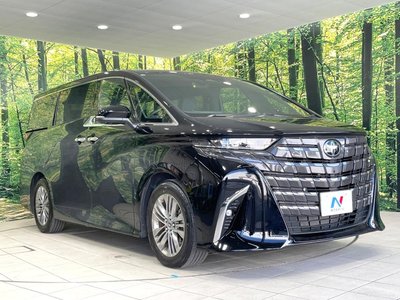2025 Toyota ALPHARD 照片 17