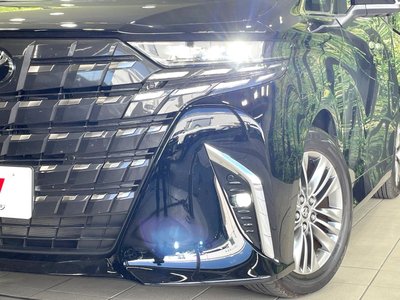 2025 Toyota ALPHARD 照片 13