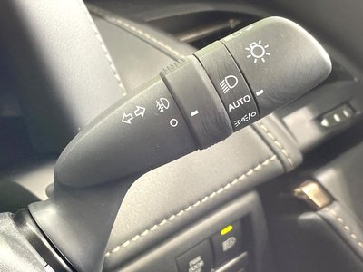 2025 Toyota ALPHARD 照片 55