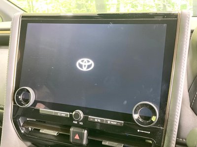 2025 Toyota ALPHARD 照片 5