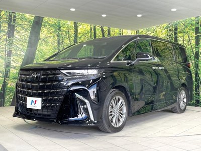 2025 Toyota ALPHARD 照片 29