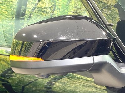 2025 Toyota ALPHARD 照片 33